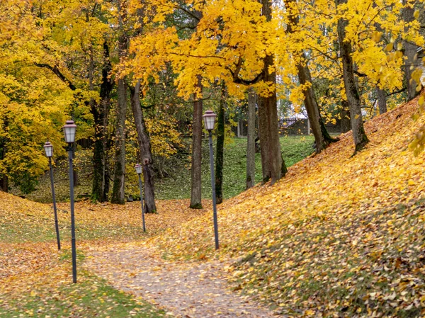 Zdjęcie Kolorowymi Drzewami Jesiennym Parku — Zdjęcie stockowe