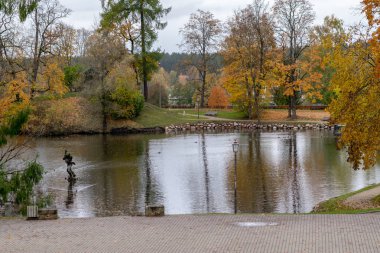  Sonbahar parkında renkli ağaçlı resim