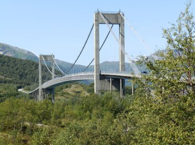 Ağaçların tepesinde bir köprü olan yaz manzarası