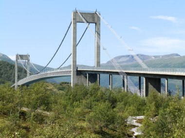 Ağaçların tepesinde bir köprü olan yaz manzarası