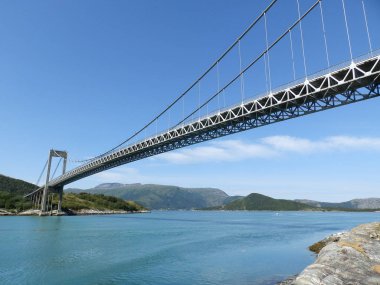 Ağaçların tepesinde bir köprü olan yaz manzarası