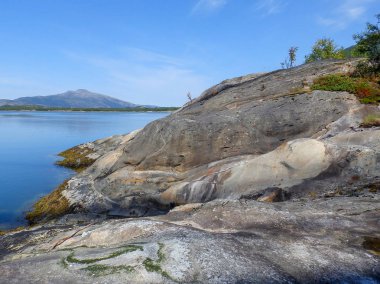  Kayalık fiyortlu manzara, güzel çiçekler ve çalılar.