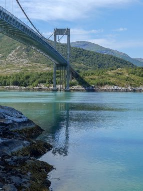 Ağaçların tepesinde bir köprü olan yaz manzarası