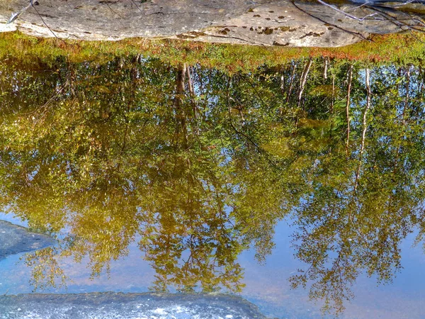 Abstrakte Und Schöne Baumreflexionen Des Wassers — Stockfoto
