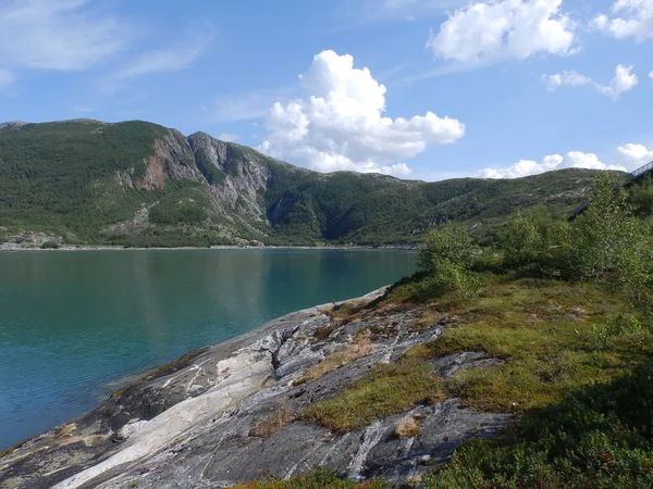 Paesaggio Con Costa Rocciosa Fiorda Bellissimi Fiori Arbusti — Foto Stock