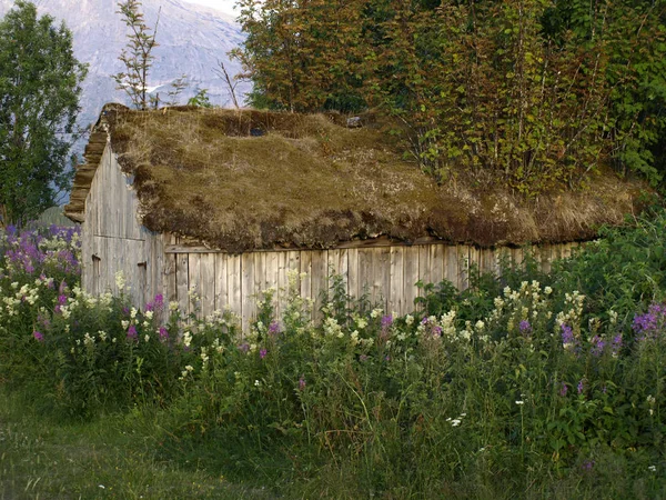 Landscape Old Wooden Barn Grass Roof Wild Surroundings — Stock Photo, Image