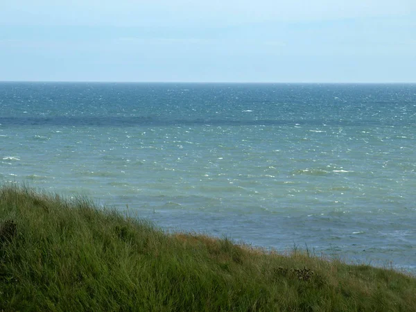 Paisaje Con Prado Junto Mar — Foto de Stock