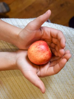 Elma tutan insan eli resmi