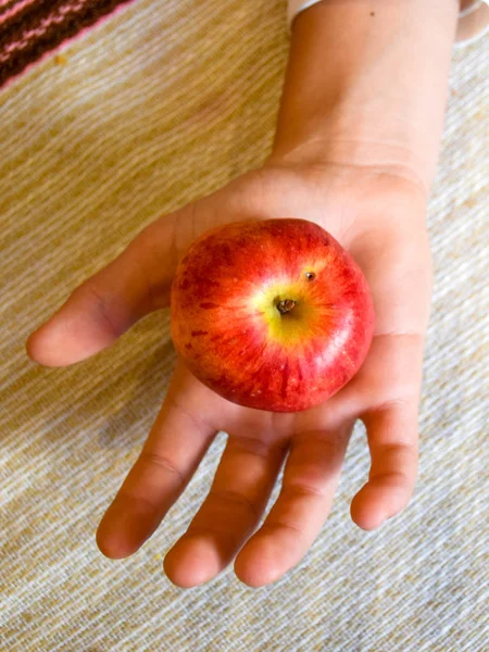 picture with human hands holding an apple
