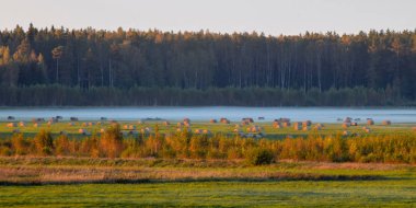 Kırsal alanlarda akşam sisi, saman ruloları, akşam alacakaranlığı.