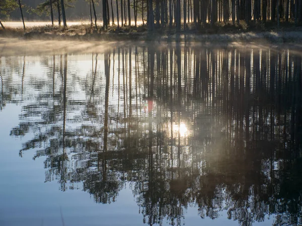 Texture Lac Eau Avec Les Arbres Ciel Qui Reflètent — Photo