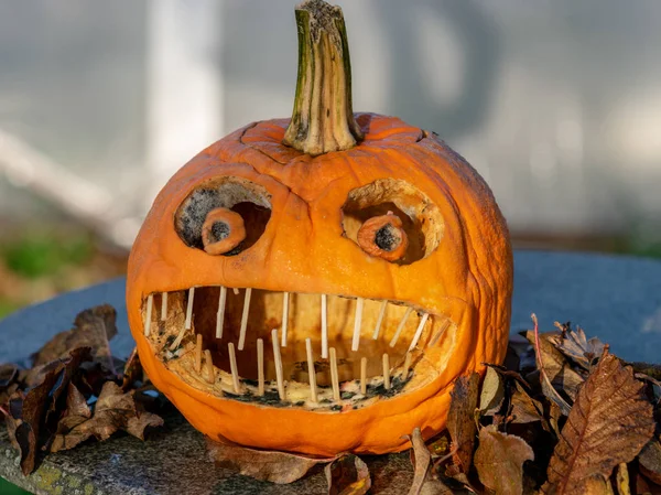 Bild Mit Orangefarbenem Kürbis Nach Halloween — Stockfoto