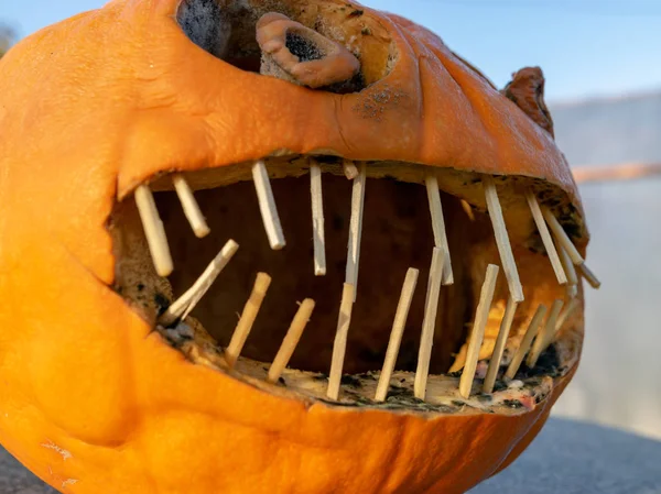 Foto Met Oranje Pompoen Halloween — Stockfoto