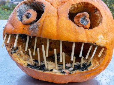 Cadılar Bayramı için oyulmuş korkunç bir balkabağı resmi.