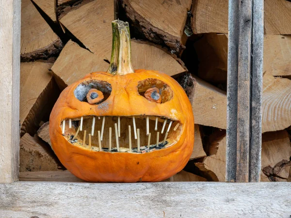 Bild Med Fruktansvärd Snidad Pumpa För Halloween — Stockfoto