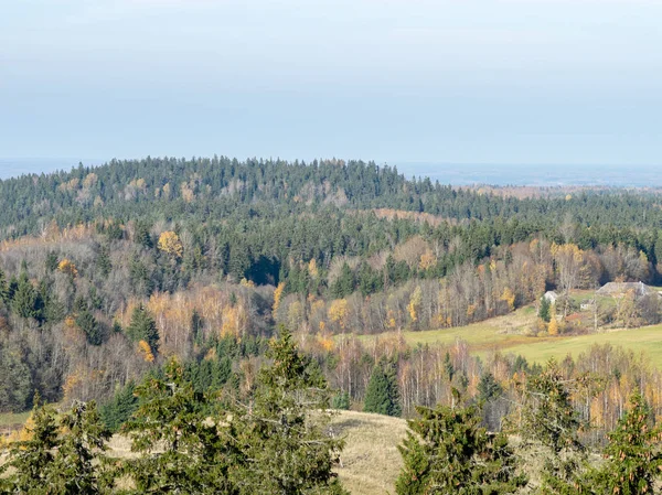 Красивий Барвистий Вид Вершини Дерев Восени — стокове фото