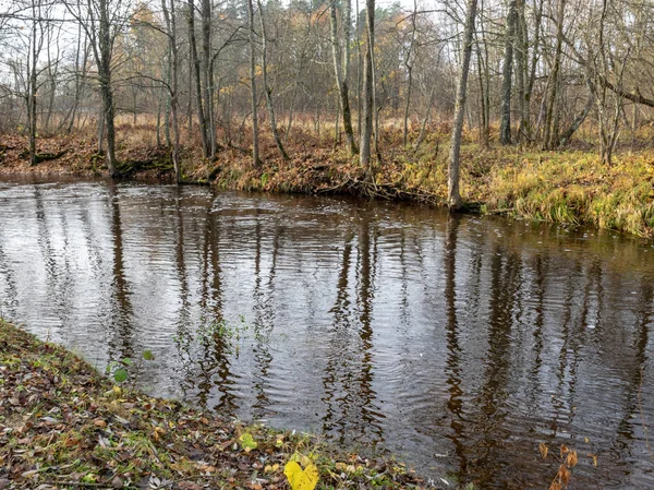 Landskap Med Liten Och Snabb Flod Nakna Trädsiluetter Trädlöv Marken — Stockfoto