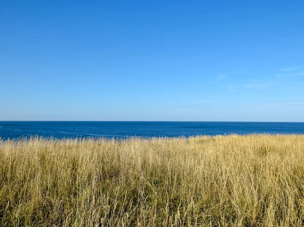 海の岸の風景前景には青い海のある海辺の牧草地があり — ストック写真