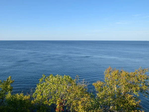 有海岸的风景 在海滨的草地上 背景是蓝色的海 — 图库照片