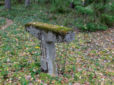 Ormandaki terk edilmiş bir askeri üste güçlendirilmiş beton parçalar.