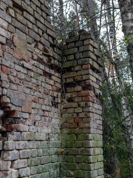 an old brick wall from a collapsed building in the woods