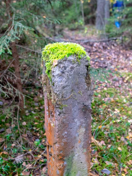 Parti Cemento Armato Una Base Militare Abbandonata Nella Foresta — Foto Stock