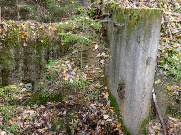 Ormandaki Terk Edilmiş Bir Askeri Üste Güçlendirilmiş Beton Parçalar — Stok fotoğraf