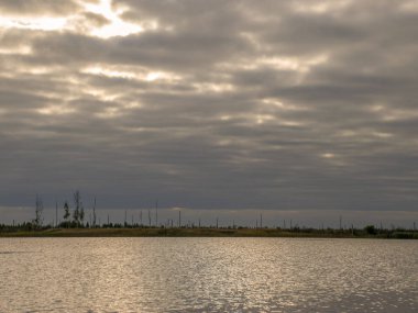 Su yüzeyinde ağaç siluetleri ve güneş ışığının parladığı bir resim