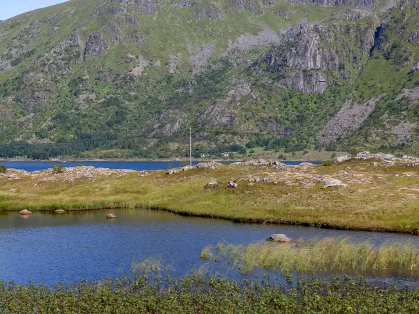 Krajina Skálami Průzračná Modrá Fjordová Voda Hory Pozadí — Stock fotografie