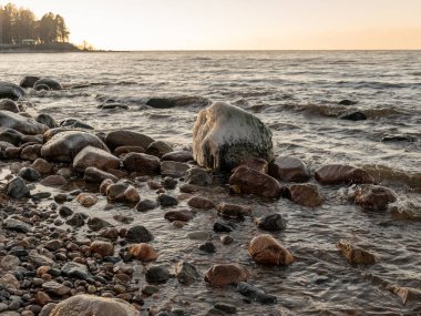 Sarkıtlarla kaplı taşlar, arkaplan için uygun bulanık resim