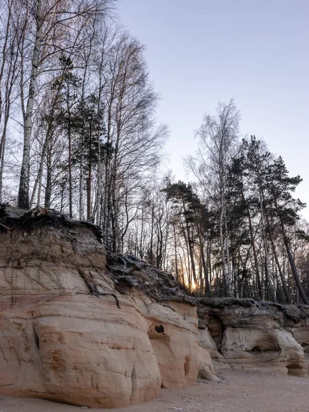 Τοπίο Βραχώδη Ακρογιαλιά Αμμόλιθους Βράχους Και Δέντρα Ανατολή Χειμώνα Πρωί — Φωτογραφία Αρχείου