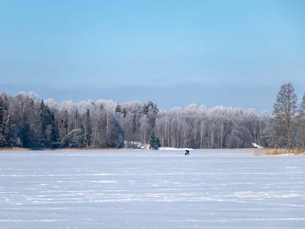 Paisagem Dia Inverno Com Árvores Cobertas Neve Terra Branca — Fotografia de Stock