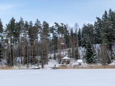  Kar kaplı ağaçlar ve beyaz toprak ile kış günü manzarası