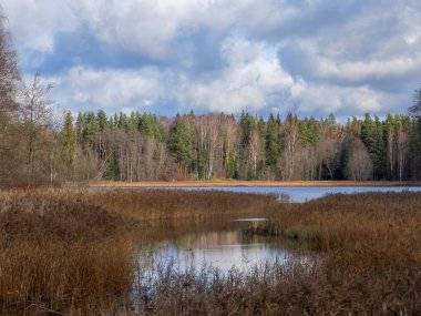 Gölün kıyısındaki ağaç siluetleri, sakin su ve yansımalar.