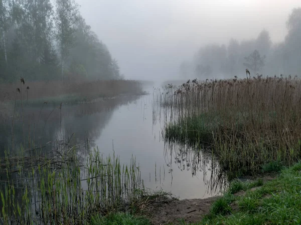 Paysage Magnifique Avec Brouillard Matin Brouillard Mystique Sur Rivière Herbe — Photo