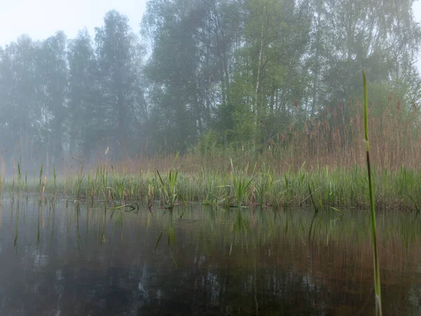 Paysage Magnifique Avec Brouillard Matin Brouillard Mystique Sur Rivière Herbe — Photo