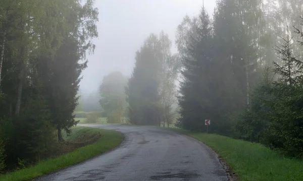 Nebellandschaft Mit Einer Leeren Straßenkurve Entlang Der Ränder Von Baumsilhouetten — Stockfoto