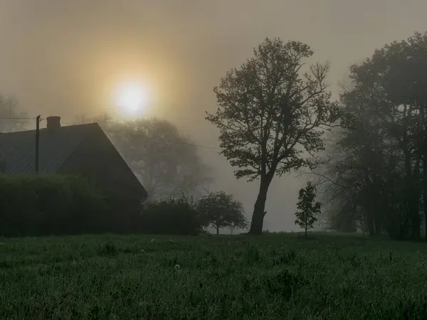 Mystische Landschaft Schöner Morgen Mit Nebel Häusern Und Bäumen Silhouetten — Stockfoto