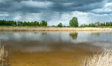 Kümülüs bulutlarının gölde yansıdığı güzel, sakin bir gökyüzü manzarası. Geçen yılın kuru sazları.