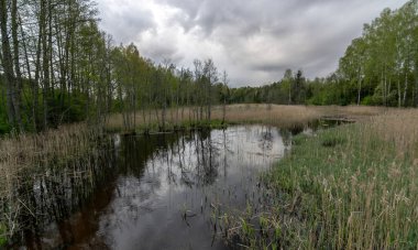 Suyun içinde güzel gökyüzü, bulutlar ve ağaç yansımaları olan renkli bahar manzarası.