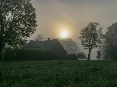 Mistik manzara, sisli güzel bir sabah, evler ve ağaçlar sisin içinde.