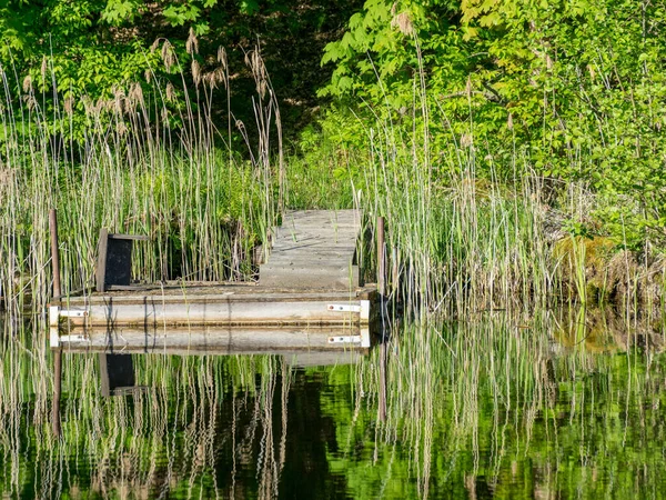Όμορφη Λίμνη Ακτή Δέντρα Και Πράσινο Γρασίδι Ξύλινες Γέφυρες Ψαράδων — Φωτογραφία Αρχείου