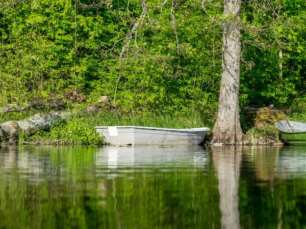 Bela Margem Lago Com Árvores Grama Verde Manhã Brilhante Primavera — Fotografia de Stock