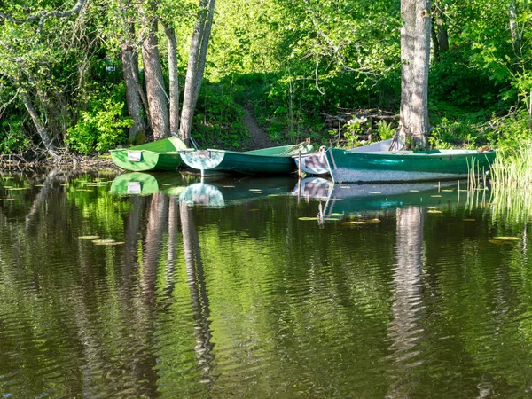 Bela Margem Lago Com Árvores Grama Verde Manhã Brilhante Primavera — Fotografia de Stock