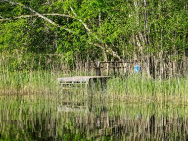 Ağaçları ve yeşil otları olan güzel göl kıyıları, balıkçıların ahşap köprüler ve sudaki ağaç yansımaları, sudaki parlak bahar sabahı