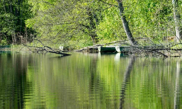 Bela Margem Lago Com Árvores Grama Verde Barcos Árvore Reflexões — Fotografia de Stock