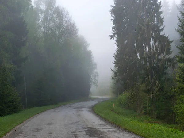 Nebellandschaft Mit Einer Leeren Straßenkurve Entlang Der Ränder Von Baumsilhouetten — Stockfoto