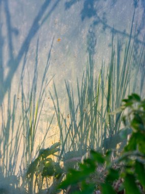 Düz olmayan bir zemin üzerinde farklı gölgelere sahip soyut fotoğrafçılık, arka plan için uygun