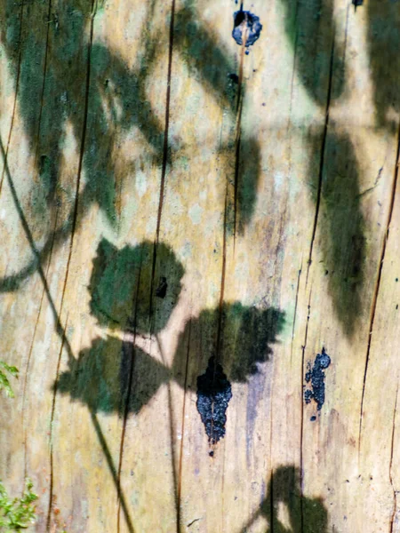 Abstrakte Fotografie Mit Unterschiedlichen Schatten Auf Unebener Oberfläche Passend Zum — Stockfoto