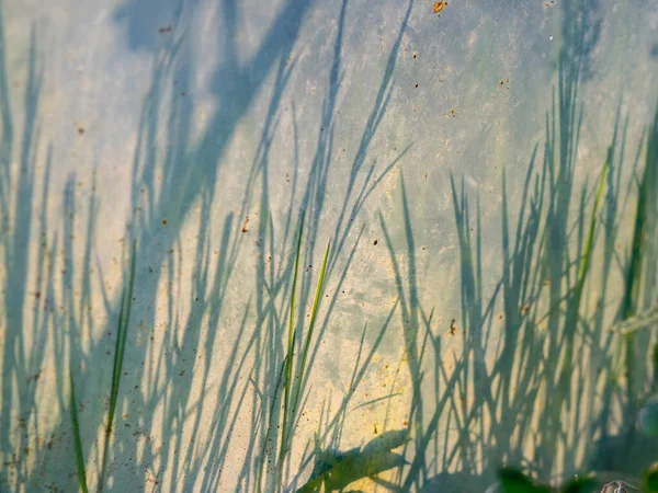 Fotografía Abstracta Con Diferentes Sombras Sobre Una Superficie Desigual Adecuada —  Fotos de Stock